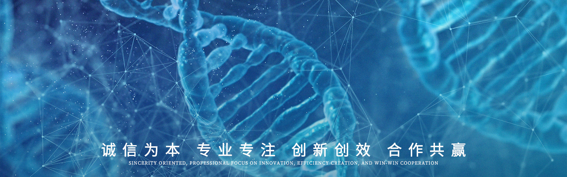通用banner