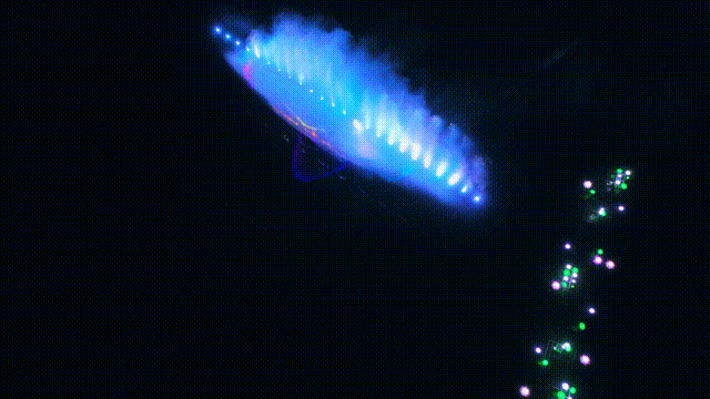 2022_0504_5eb7c47ag00rbbe8k00rpd200hs00a0g00it00ak.gif